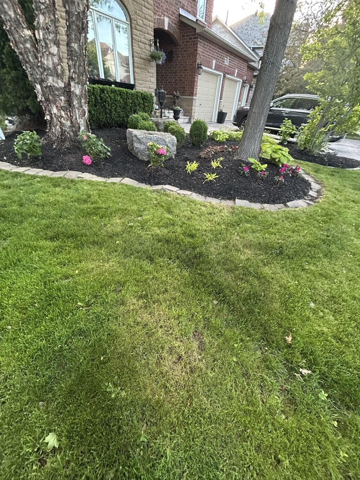 Bare garden bed brought back to life — after
