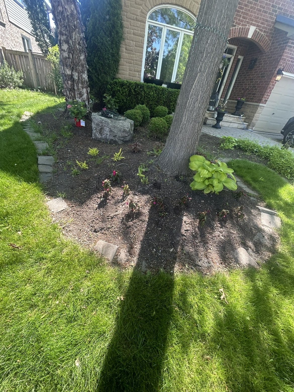 Bare garden bed brought back to life — before